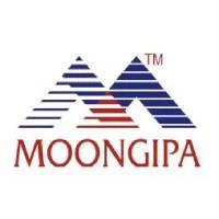 Developer for Moongipa Arcade:Moongipa World