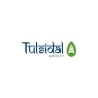 Developer for Tulsidal Tulsi Dham:Tulsidal Group