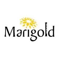 Developer for Marigold Aangan:Marigold Group
