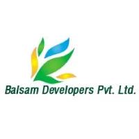 Developer for Balsam Bliss:Balsam Developers