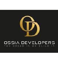 Developer for Ossia Enclave:Ossia Developers