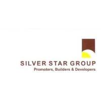 Developer for The Silver Altair:Silver Star Group