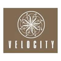 Developer for Hill Spring:Velocity Builders & Developers