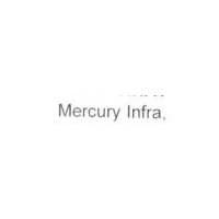 Developer for Mercury Paradise:Mercury Infra