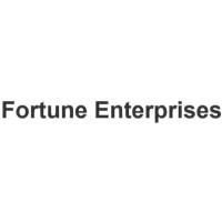 Developer for Fortune Classic:Fortune Enterprises