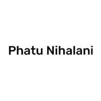 Developer for Phatu Nihalani Azumi:Phatu Nihalani Developer