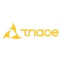 Developer for Triace Homai Mahal:Triace Group