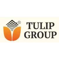 Developer for Tulip Infinity Avana:Tulip Group