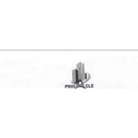 Developer for Pinnacle Chaitraban:Pinnacle Builders