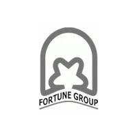 Developer for Fortune Florence:Fortune Group