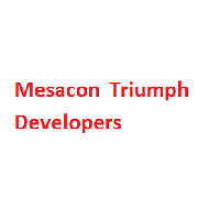 Developer for Mesacon The South Bay:Mesacon Triumph Developers