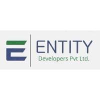 Developer for Entity Zenon:Entity Developers