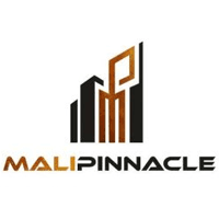 Developer for Mali Avenue:Mali Infra