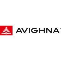 Developer for Avighna Complex:Avighna Homes