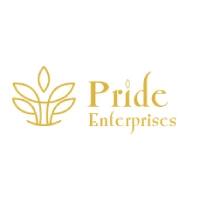 Developer for The Pride:Pride Enterprises