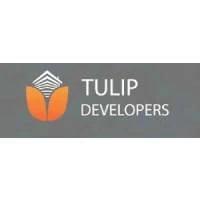Developer for Tulip Residency:Tulip Developers