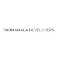 Developer for Padmamala Destiny One:Padmamala Developers